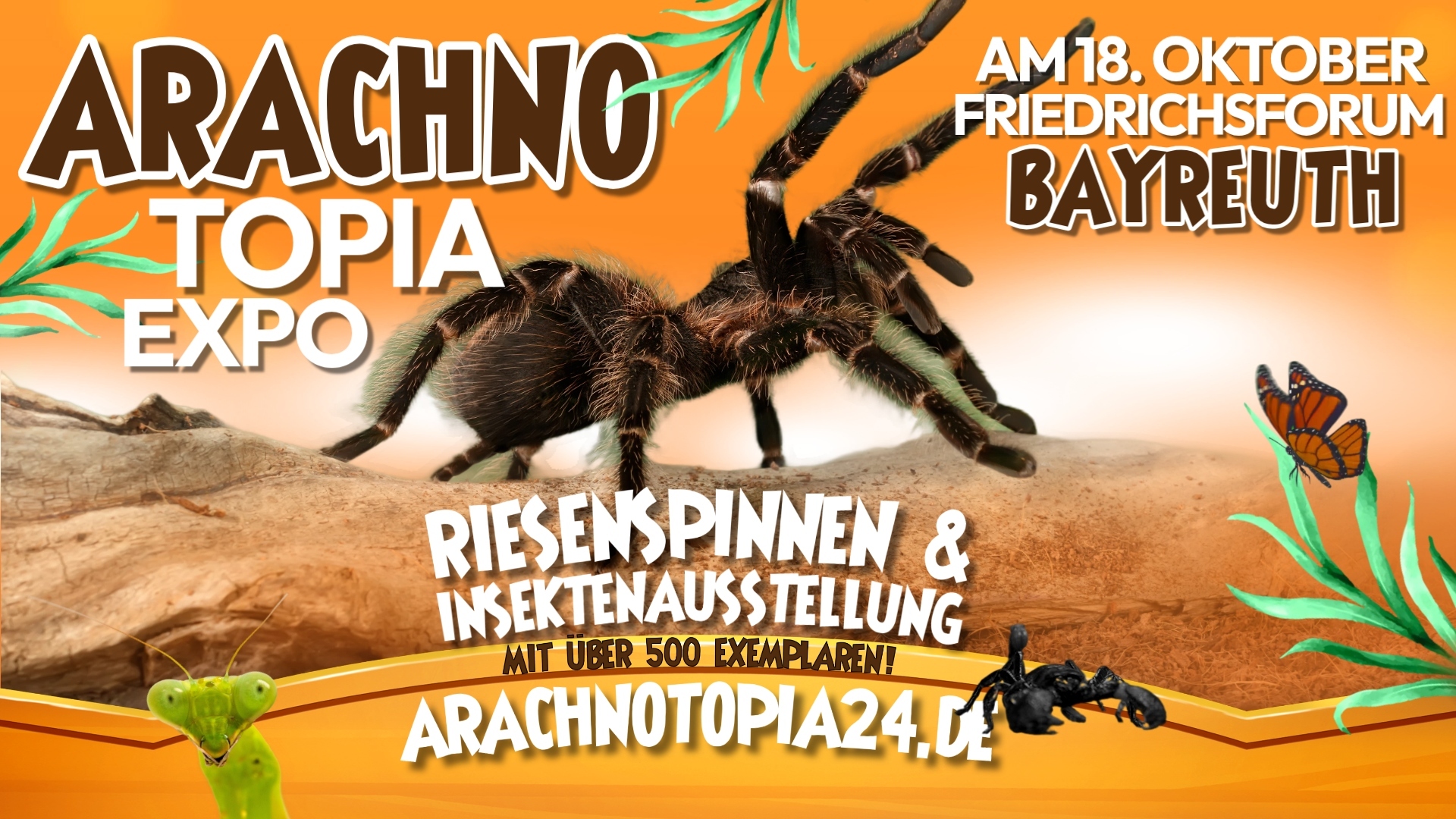 Arachnotopia