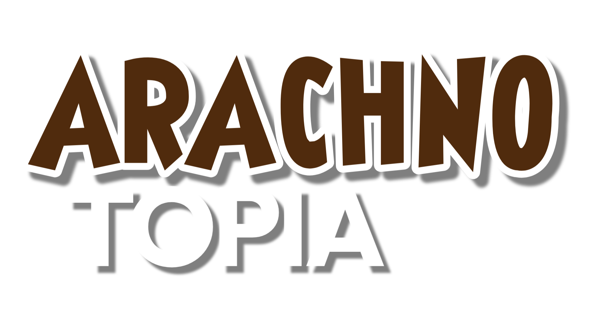 261018 Leidig Arachnotopia Friedrichsforum 261018 Leidig Arachnotopia Friedrichsforum
